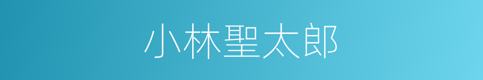 小林聖太郎的同義詞