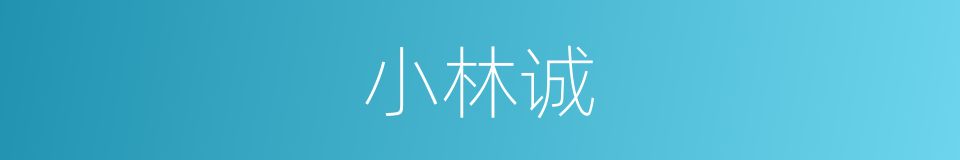 小林诚的同义词