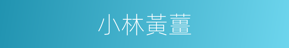 小林黃薑的同義詞