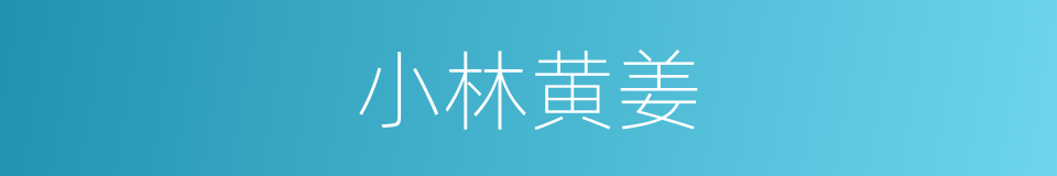 小林黄姜的同义词