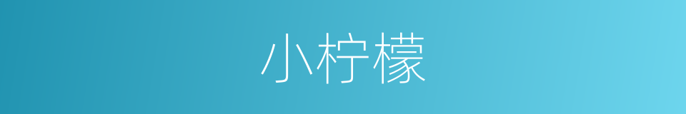 小柠檬的同义词