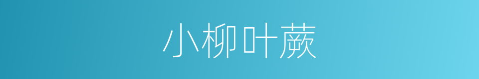 小柳叶蕨的同义词