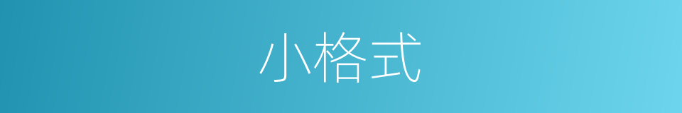 小格式的意思