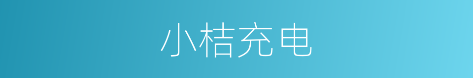小桔充电的同义词