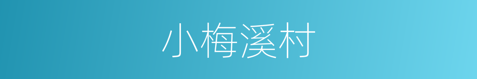 小梅溪村的同义词