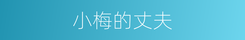 小梅的丈夫的同义词