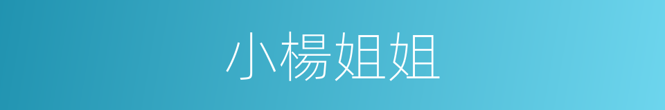 小楊姐姐的同義詞