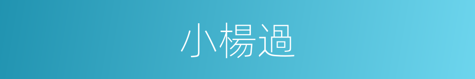 小楊過的同義詞