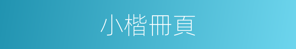 小楷冊頁的同義詞