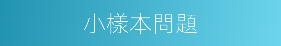 小樣本問題的同義詞