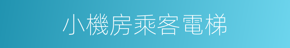 小機房乘客電梯的同義詞