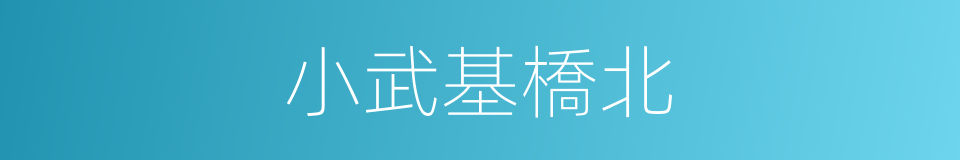 小武基橋北的同義詞