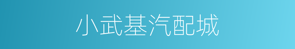 小武基汽配城的同义词