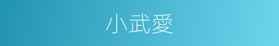 小武愛的同義詞