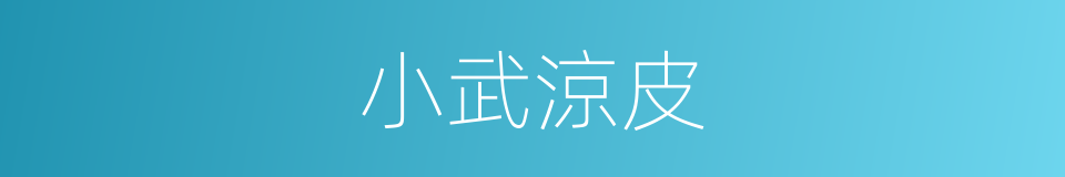 小武涼皮的同義詞