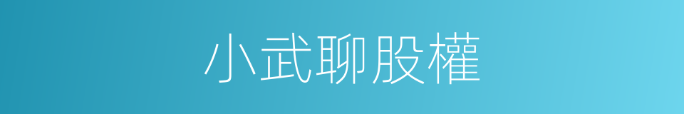 小武聊股權的同義詞