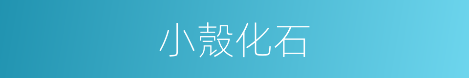 小殼化石的同義詞