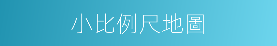 小比例尺地圖的同義詞