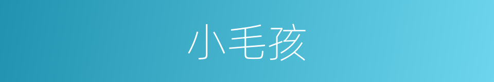 小毛孩的同义词