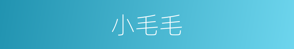 小毛毛的同义词