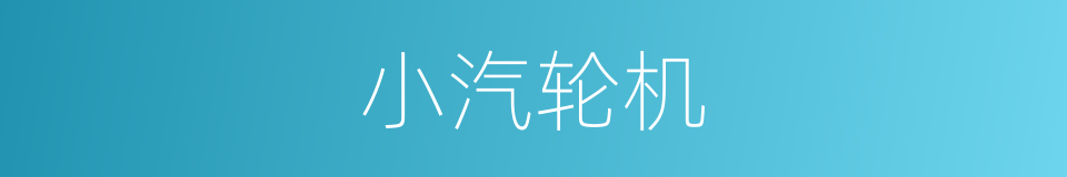 小汽轮机的同义词