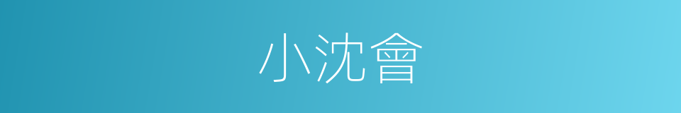 小沈會的同義詞