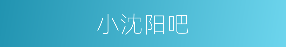 小沈阳吧的同义词