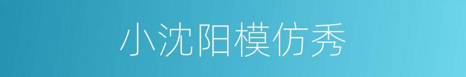 小沈阳模仿秀的同义词