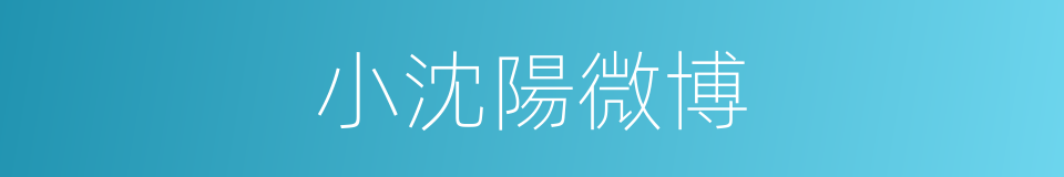 小沈陽微博的同義詞