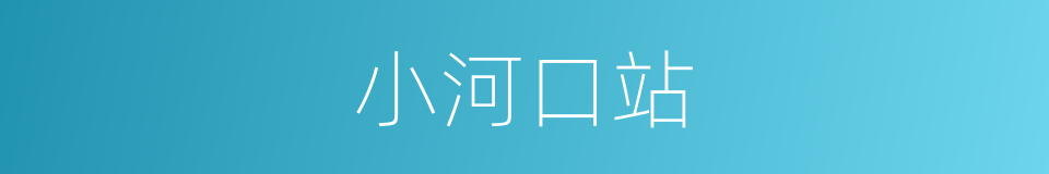 小河口站的同义词