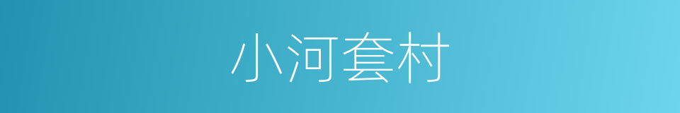 小河套村的同义词