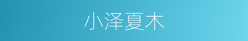 小泽夏木的同义词
