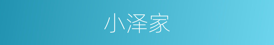 小泽家的同义词
