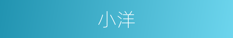 小洋的意思