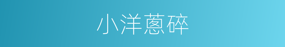小洋蔥碎的同義詞