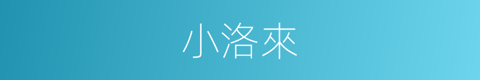 小洛來的同義詞