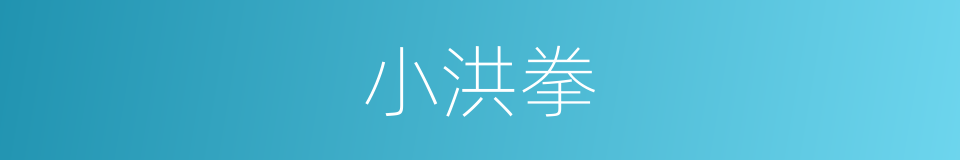 小洪拳的同义词