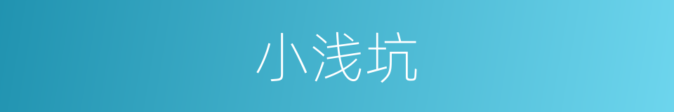 小浅坑的同义词