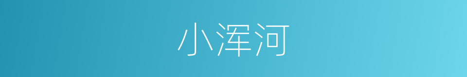 小浑河的同义词
