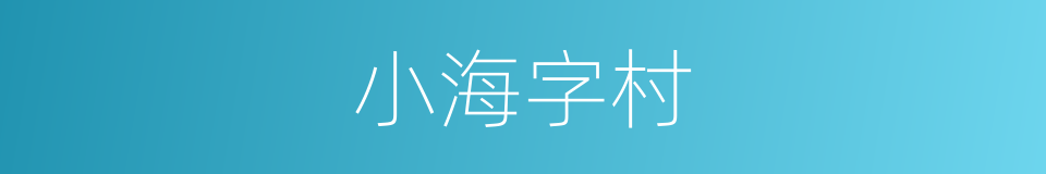 小海字村的同义词