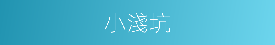 小淺坑的同義詞