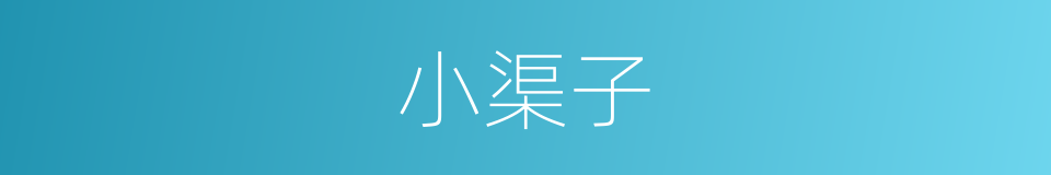 小渠子的同义词