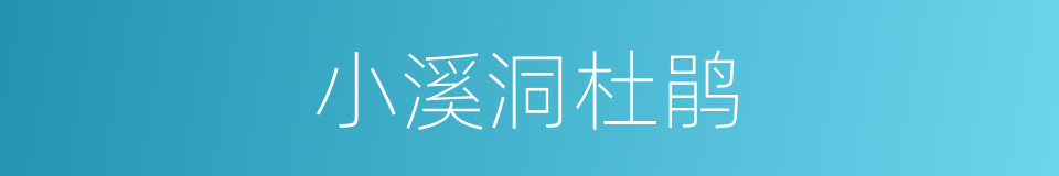 小溪洞杜鹃的同义词