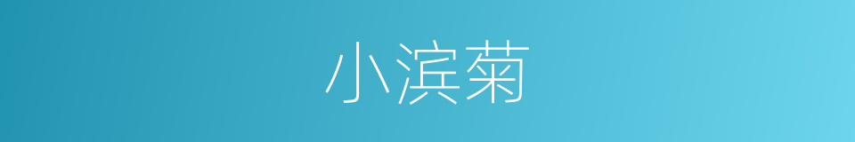 小滨菊的同义词