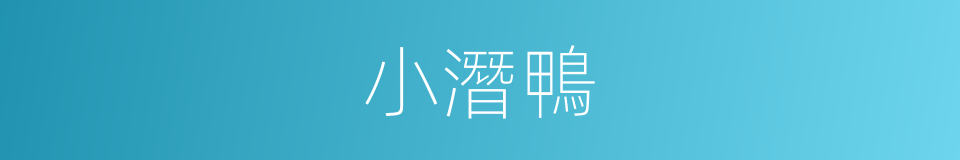 小潛鴨的同義詞