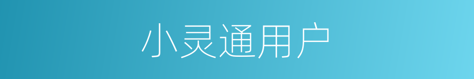小灵通用户的同义词