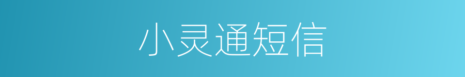 小灵通短信的同义词
