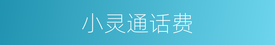 小灵通话费的同义词