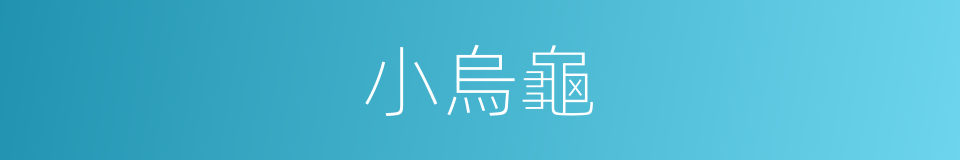 小烏龜的同義詞
