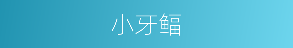小牙鲾的同义词